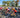 peloton racing the mont royal circuit in montreal