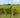 vineyard rows near rochecorbon above the loire at tours