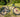 lapierre mtb