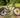 lapierre mtb