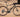 orbea gravel bike