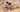 guerciotti gravel bike woman