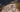 cannondale topstone 2025