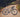 cannondale topstone 2025