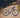 cannondale topstone 2025