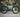 colnago gravel bike