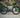 colnago gravel bike