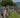 Criterium du Dauphine: History and 2026 Edition Guide