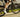 colnago v5rs