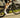 colnago v5rs