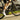 colnago v5rs