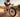Colnago G5-X gravel bike ridden on a dirt road