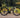 Wilier Rave: Geometry, Specs, and Competitor Comparison