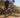How to Choose the Right Giant Bike for You