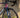The Best used road bikes in 2026