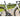 Evolve Cima: Analyzing the Lightweight Climbing Frameset