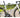 Evolve Cima: Analyzing the Lightweight Climbing Frameset