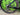 Cannondale SuperSix EVO CX 2021 - Sram Force 1x11sp - ZIPP 303 S