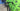 Cannondale SuperSix EVO CX 2021 - Sram Force 1x11sp - ZIPP 303 S
