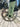 Megamo Pulse 20 2025 - Shimano 105 2x12sp - Dt Swiss P1850 Spline