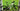 Husqvarna Mountain Cross MC4 2022 - Sram GX Eagle 1x12sp - SRAM PG-1230, 11-50 T