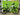 Husqvarna Mountain Cross MC4 2022 - Sram GX Eagle 1x12sp - SRAM PG-1230, 11-50 T