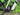 Husqvarna Mountain Cross MC4 2022 - Sram GX Eagle 1x12sp - SRAM PG-1230, 11-50 T