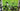 Husqvarna Mountain Cross MC4 2022 - Sram GX Eagle 1x12sp - SRAM PG-1230, 11-50 T