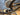 Cervélo S5 2026 - Sram RED AXS 2x12sp - Reserve 57/64 DT180