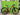 Giant XTC SLR 29 2 2022 - Shimano Deore 1x12sp - Giant XCT