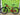 Giant XTC SLR 29 2 2022 - Shimano Deore 1x12sp - Giant XCT
