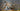 Focus Atlas 8.9 2025 - Sram Rival AXS Xplr 1x13sp - DTSwiss GR1600