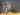 Focus Atlas 8.9 2025 - Sram Rival AXS Xplr 1x13sp - DTSwiss GR1600