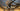 Focus Atlas 8.9 2025 - Sram Rival AXS Xplr 1x13sp - DTSwiss GR1600