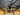 Focus Atlas 8.9 2025 - Sram Rival AXS Xplr 1x13sp - DTSwiss GR1600