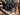 Focus Atlas 8.9 2025 - Sram Rival AXS Xplr 1x13sp - DTSwiss GR1600