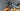 Focus Atlas 8.9 2025 - Sram Rival AXS Xplr 1x13sp - DTSwiss GR1600