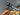 Focus Atlas 8.9 2025 - Sram Rival AXS Xplr 1x13sp - DTSwiss GR1600