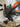 Scott Scale 970 2020 - Sram SX - Syncros x20