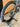 Trek Emonda ALR 5 2016 - Shimano 105 2x11sp - FIR 40mm