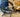 Specialized Sirrus X 5.0 2023 - Sram NX 1x12sp - Specialized Alloy