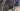 Argon 18 Gallium Pro 2018 - Shimano Dura-Ace - Fulcrum Racing 1