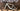 Specialized Turbo Creo 2 Expert 2024 - Sram Rival eTap AXS 1x12sp - Roval Terra C