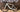 Specialized Turbo Creo 2 Expert 2024 - Sram Rival eTap AXS 1x12sp - Roval Terra C