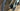 Specialized Turbo Creo 2 Expert 2024 - Sram Rival eTap AXS 1x12sp - Roval Terra C