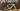 Specialized Turbo Creo 2 Expert 2024 - Sram Rival eTap AXS 1x12sp - Roval Terra C
