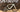 Specialized Turbo Creo 2 Expert 2024 - Sram Rival eTap AXS 1x12sp - Roval Terra C