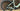 Specialized Turbo Creo 2 Expert 2024 - Sram Rival eTap AXS 1x12sp - Roval Terra C
