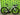 Colnago V4Rs 2025 - Shimano Dura-Ace Di2 2x12sp - fulcrum wind 42