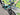 Bianchi Nitron 9.4 2024 - Shimano XT 12sp - Velomann KOM light i25 29"